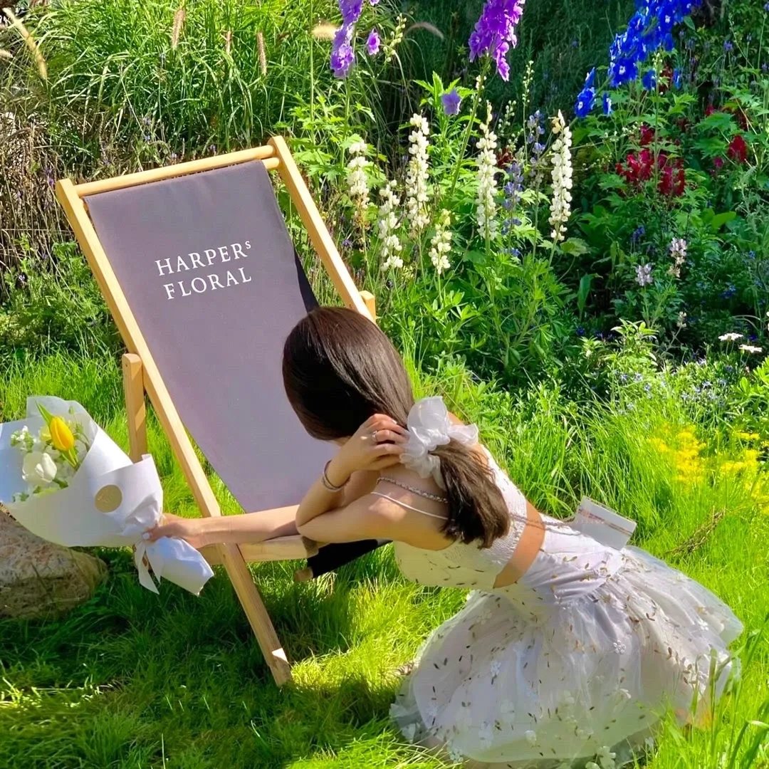淑女情挑